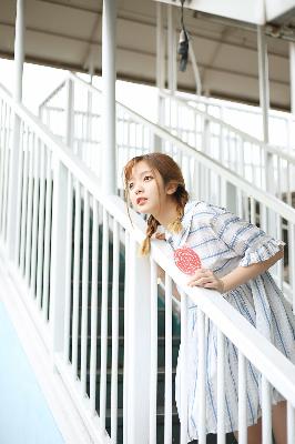 食物链韩剧在线观看免费高清