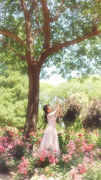 美国大片免费观看2023年上映